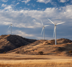 GWEC Records Sharp Rise in Wind Turbine Installations
