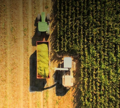 USDA Announces New American Biofuels Trade Outlook