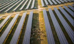 La solar fotovoltaica Marca España cierra trienio de oro