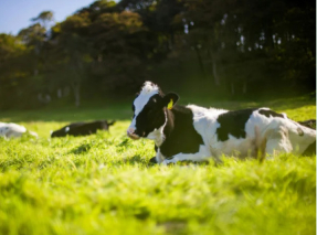 Field Origin Helps Biofuel Producers Simplify Field-to-Fuel Compliance