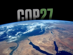 SEO/BirdLife, el acuerdo de la Cop27 se ha conformado con no dar pasos atrás SEO/BirdLife, el acuerdo de la Cop27 se ha conformado con no dar pasos atrás
