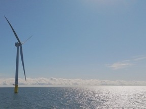 
Avangrid aún no ha encontrado comprador para la electricidad de su parque eólico marino New England
