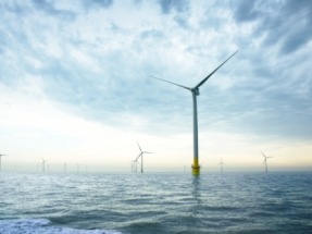 Offshore Wind Farms Shut Down to Protect Migratory Birds