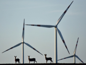 El viento produjo en Europa ayer casi uno de cada cinco kilovatios