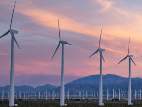 Wind Farms can Offset Their Emissions Within Two Years, New Study Shows