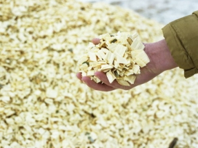 MCS Launches New Biomass Maintenance Standard