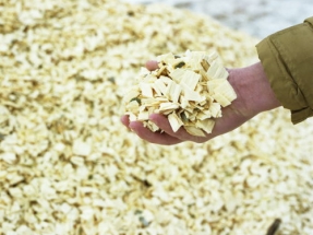 World Finance Says Enviva Most Sustainable Biomass Company