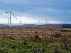 Helping Puerto Rico Achieve 100% Renewable Energy by 2050