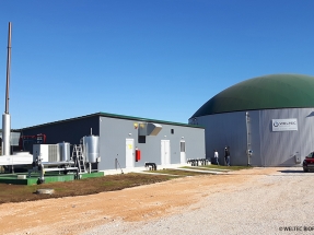 Greek Poultry Farmers Invest in Biogas Plants from Weltec Biopower