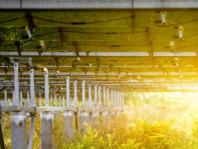 Walmart, US Solar Announce Agreement for 36 Community Solar Gardens