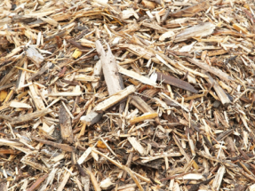 Canada Investing in Waste Biomass Facility