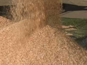 New Steam-Drying Technique for Wood  Being Tested at Pilot Plant in Spain