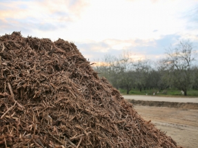 World’s First Carbon Removal Plant Converting Wood Waste to Hydrogen