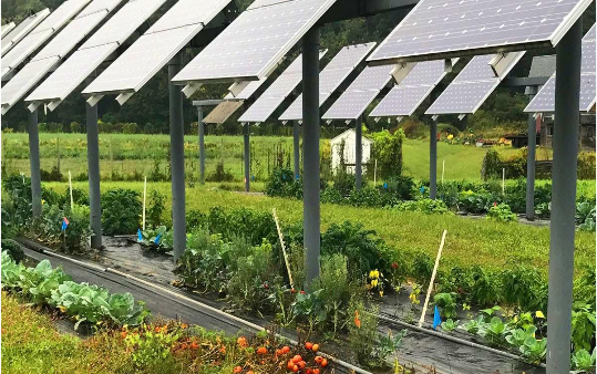 El sector fotovoltaico sella un pacto con los regantes para compatibilizar energía solar y agricultura en Cataluña