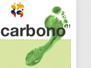 
¿Cómo calcular la huella de carbono paso a paso?
