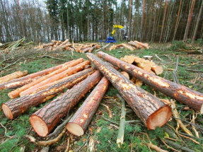 La factura electrónica ahorraría la tala de decenas de árboles y de emisiones en España