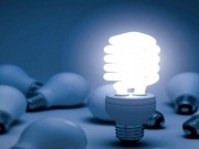 Día Mundial de la Eficiencia Energética