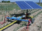 Castilla La Mancha apoyará a los jóvenes agricultores que creen empresas que usen renovables