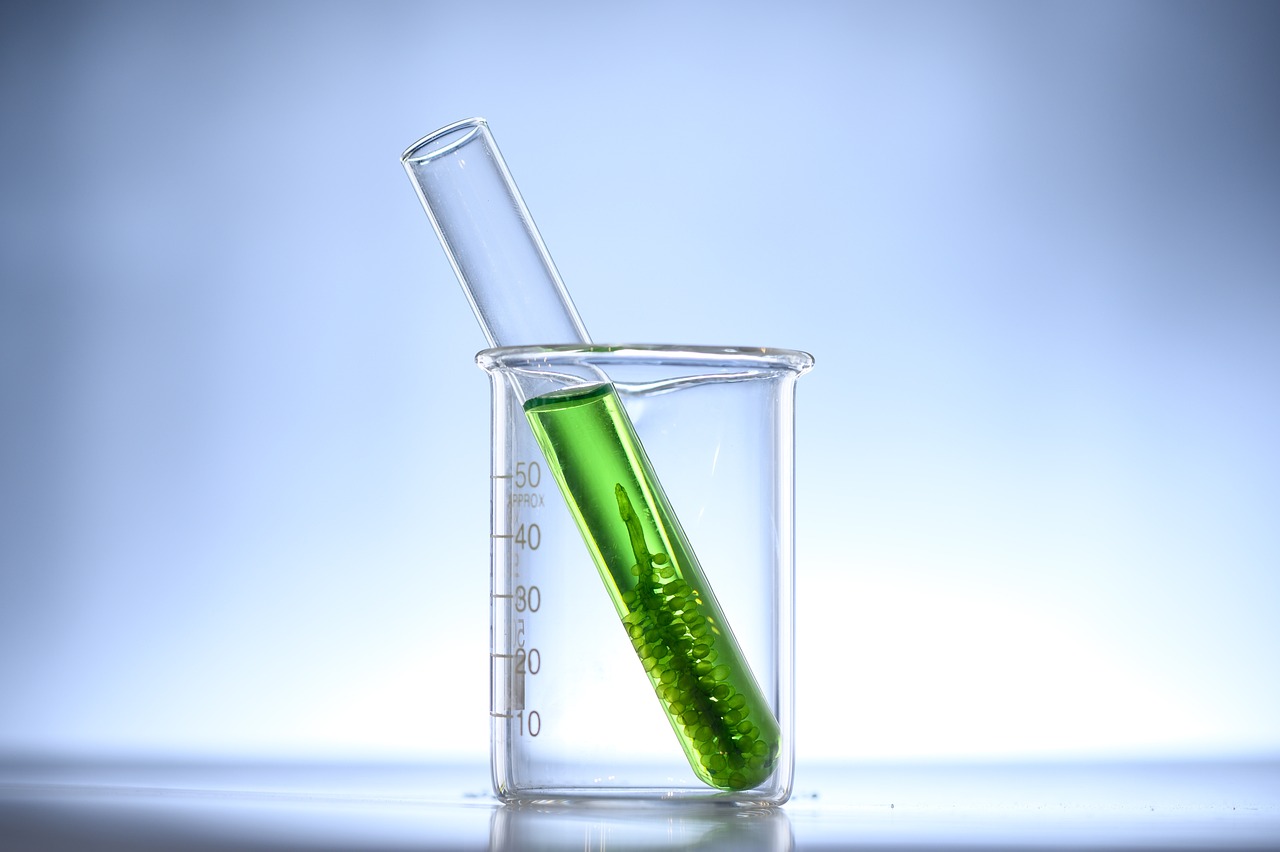 Global Algae Biofuel Industry Research 2024: An $18.84 Billion Market by 2033