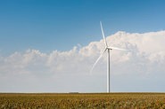 Siemens wins order for Logans Gap wind project in Texas