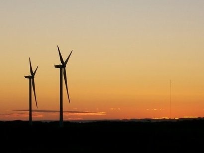 Infigen to start construction of Australian wind farm
