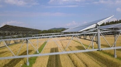 GreenGo announces it has obtained authorisation for an advanced agrovoltaic plant in Sicily