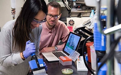 NREL researchers gain new insights into enzyme process