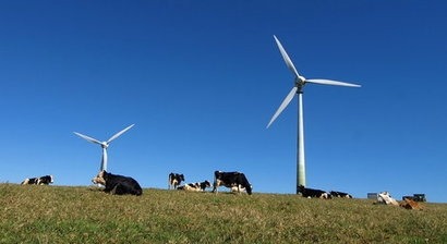 White Rock wind farm construction encourages optimism in Australian wind sector says CEC