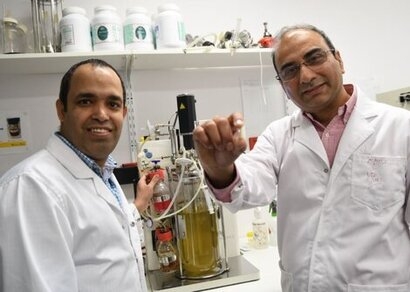 Flinders University discovers low-cost way to extract bioactives from single-cell algae oil