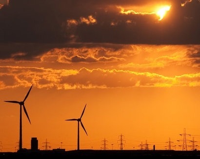 RSPB calls for renewed commitment to renewable energy by the UK Government