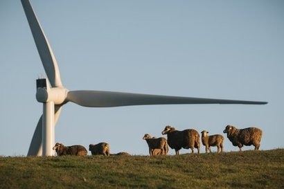 Neoen chooses QOS Energy O&M system to monitor Australian wind farm