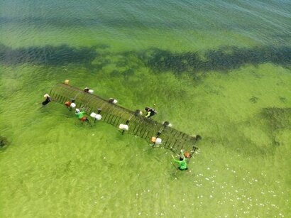 UK company harnesses solar energy to grow ‘coral’ reef for prevention of coastal erosion