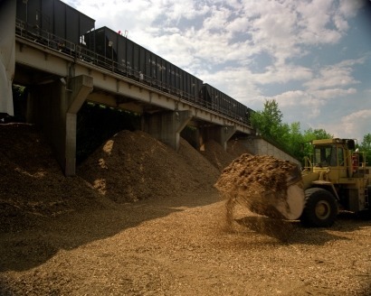 More can be done for biomass says the REA in response to government energy announcements