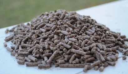 European Pellet Conference in Austria will be the largest annual pellet event worldwide