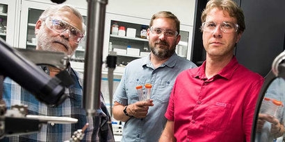 NREL research discovers new enzyme useful for bioenergy production