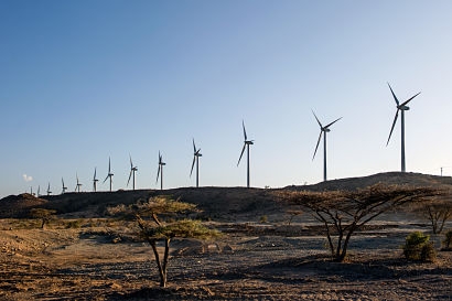Vestas wins 101 MW order from ReNew Power in India