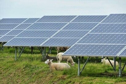 British Solar Renewables secures planning permission for Coldharbour Farm Solar Park  