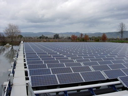 UBC researchers develop bacteria-powered solar cell that generates energy even under overcast skies