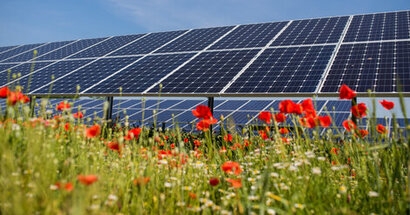 RSPB partners with renewable energy company Lightrock Power on biodiversity