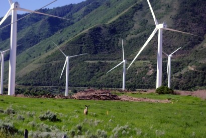 IKEA makes first US wind farm investment