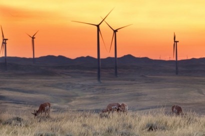 Building public support for renewable projects shouldn’t be a ‘Plan B’