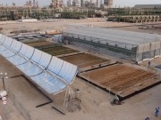Sahara project grows cucumbers using seawater and solar