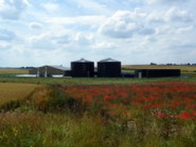 UK anaerobic digestion trade association publishes wish list for general election manifestos