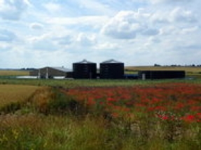 Anaerobic digestion industry responds to Ecotricity ‘vegan electricity tariff’