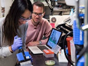 NREL researchers gain new insights into enzyme process