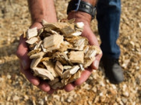 ETI recommends an increase in UK biomass production