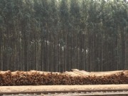 Increase in biofuels will enable Finland to achieve EU climate targets