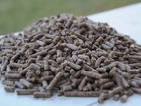 European Pellet Conference in Austria will be the largest annual pellet event worldwide