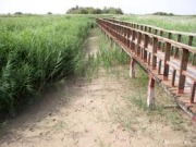 Castilla La Mancha quiere reducir las emisiones de CO2 de sus parques naturales
