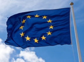 MEPs must stand firm on EU clean energy says CAN